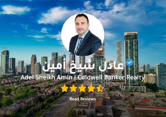 عادل شيخ أمين